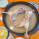 장모토종닭 | 대전오리백숙 복돈오리 손수 찢어주는 오리수육이 인상적인 곳