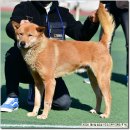 원당중학교 이미지