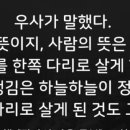 조희서점 이미지