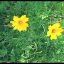 영양공인중개사사무소 이미지