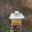 봉연농장 이미지