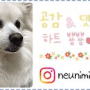 동편동물혈액검진센터 이미지