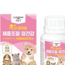 일동동물병원