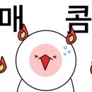 완미족발파주초롱꽃