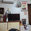 [함평 당일치기 여행] 월요일은 가지 마유~ 함평~