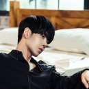 박장현 카카오 검색결과