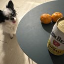 건강사약국 이미지