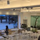 건이네 파충류 | 울산 핫플! ‘건이네파충류카페’에서 만난 특별한 친구들