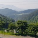 햇살농원 애견 이미지