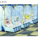 톤마켓 이미지