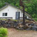 무릉도원면-20 이미지