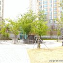 수자인사거리 이미지