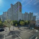 팔로니아 복싱 이미지