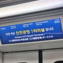 라온 키즈 태권도 | 오랜만에 열린 유튜브 팬페스트 2024 후기 (야바위 라이토 파파라치)