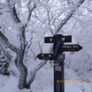 2월9일(일요당일)가리왕산 눈꽃산행 이미지