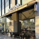 솔트스테인(Saltstain) 이미지