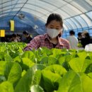 강호동 농협중앙회 회장, &#39;청년농 육성&#39;에 진심...단계별 &#39;원스톱&#39; 지원 이미지