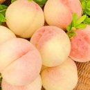 동일농원 이미지