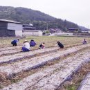 삼가면사무소 이미지