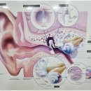 스타키보청기분당점 이미지