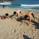 용인대서대문체육관 이미지