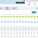 양지-2854 이미지