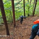 평천1교 이미지