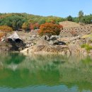 (주)삼성궁