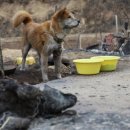 마음담은 동물병원 이미지