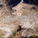 도지 | 일본 교토 벚꽃 개화시기 여행 도지 라이트업 야경