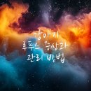 서울동물병원 이미지