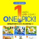 바나나엔씨