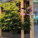 거창사과테마파크 전시실 | "겨울철 실내에서 만나는 거창사과테마파크" - 박다정 기자