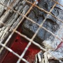 덕산 아라채 | 덕산 아라채에서 맞은 이른 아침, 숯불 앞에서 떠오른 부모의 마음