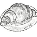 소로3-101 이미지