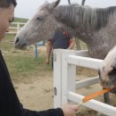 가을목장 이미지