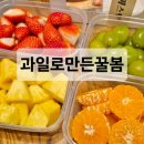 꿀봄 이미지