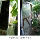 Re:성남 비닐하우스 할아버지댁 실사 이미지