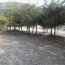 파주6리 경로당 네이버블로그