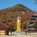 속리산 - 성남시 중원구 시민로117번길 2 | 속리산