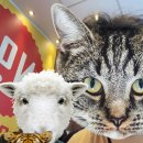 아랑한의원 이미지