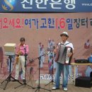 정선전통시장 이미지