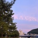 프라니베이커리 | 종강 첫주 부산 '니와 베이커리'에 메론빵 사러가다