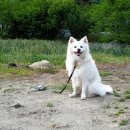 양정염포도서관 이미지