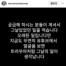 [강형욱] 진돗개 견주 강형욱 보듬 교육 후기.insta 이미지