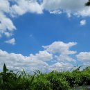 동우행정사합동사무소 이미지