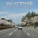 구암국밥 | 경남 벚꽃 구경, 진주맛집 사천형제국밥 돼지국밥 내돈내산 후기