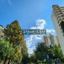 압구정-114 이미지