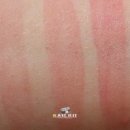 플럼스펙트럼 이미지
