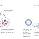 생명공학 주식 투자해야 할 상위 5개 CRISPR 기업 이미지